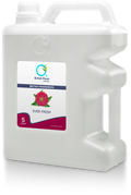 Air Freshener - Ever Fresh (Ready to Use)